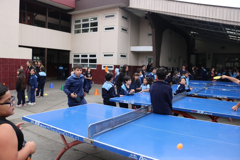 Día de la Actividad Física